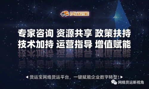 網(wǎng)絡(luò)貨運(yùn)時代 軟件技術(shù)與信息咨詢服務(wù)的雙輪驅(qū)動